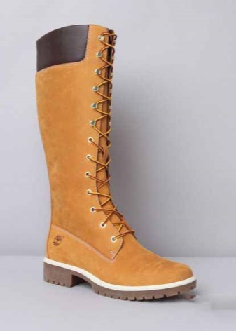 Чоботи Timberland (46 фото): жіночі зимові моделі