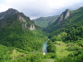 Чорногорія в липні (47 фото): погода і активний відпочинок в Чорногорії в літньому місяці. Клімат у горах