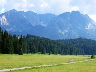 Чорногорія в липні (47 фото): погода і активний відпочинок в Чорногорії в літньому місяці. Клімат у горах