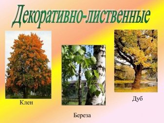 Дерев’яна посуд своїми руками: виготовлення та обробка посуду з дерева. Як покрити посуд харчовим лаком? Як робили посуд для їжі на Русі?