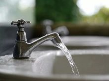 Фосфати в акваріумі (15 фото): як знизити або підвищити рівень фосфатів? Як підняти або знизити вміст фосфатів в акваріумі-травник? Норма змісту і тест на кількість