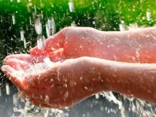 Фосфати в акваріумі (15 фото): як знизити або підвищити рівень фосфатів? Як підняти або знизити вміст фосфатів в акваріумі-травник? Норма змісту і тест на кількість