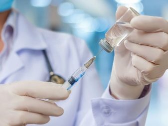 Грецька вівчарка (13 фото): опис породи. Особливості утримання і розведення собак