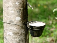 Гумові калоші: варіанти утеплених калош і моделей для купання, норми виробництва по ГОСТу