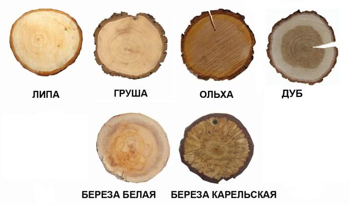 Контурна різьба по дереву: ескізи для початківців, техніка роботи по фанері, дереву і чорному лаку, необхідний інструмент