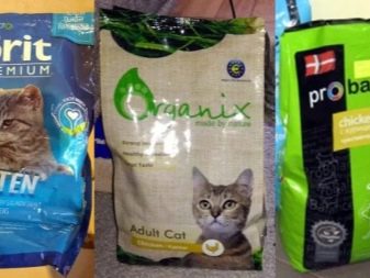 Корм для кошенят віком до року: як вибрати хороший сухий і м’який корм? Як правильно годувати кошенят?