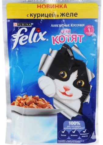 Корм для кошенят віком до року: як вибрати хороший сухий і м’який корм? Як правильно годувати кошенят?