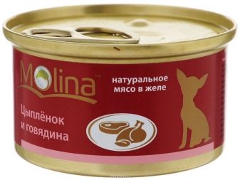 Корми для джек-рассел-тер’єр (12 фото): рейтинг найкращих сухих і вологих кормів. Як їх вибрати?