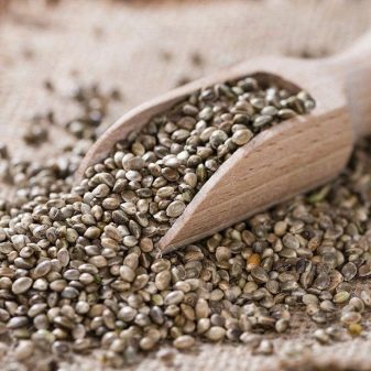 Косметика Hempz: огляд професійної косметики для волосся і тіла. Її плюси та мінуси