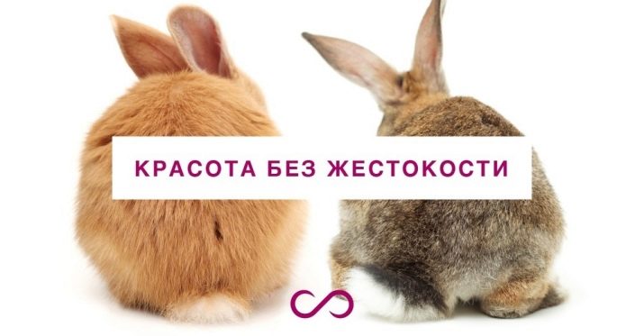 Косметика Tarte: плюси і мінуси косметики. Історія бренду. Опис продукції