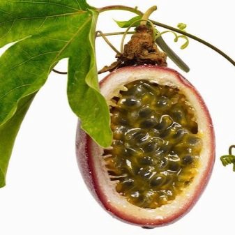 Косметика Tarte: плюси і мінуси косметики. Історія бренду. Опис продукції