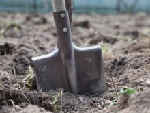 Куди подіти волосся після стрижки будинку? Можна викидати стрижене волосся?