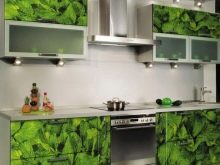 Кухні з фотодруком (54 фото): кухонні гарнітури з фотодруком на фасадах, «Орхідея» і «Кава», «Метелики» та інші малюнки