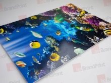 Кухні з фотодруком (54 фото): кухонні гарнітури з фотодруком на фасадах, «Орхідея» і «Кава», «Метелики» та інші малюнки