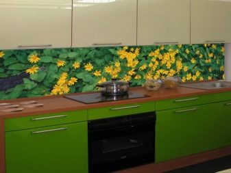 Кухонні фартухи Albico (36 фото): вибираємо панелі для кухні з МДФ та пластику, дизайн готових фартухів для стін з серії «Фрукти і лід»
