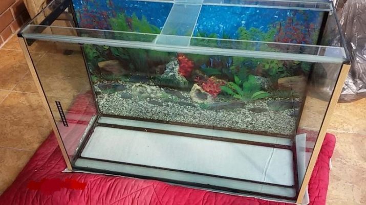 Лопнув акваріум (18 фото): як склеїти його своїми руками, якщо тріснув по шву? Чим заклеїти скла в домашніх умовах?