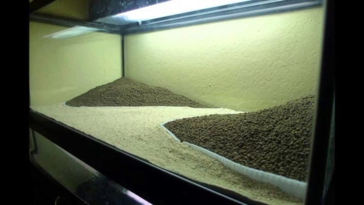 Пісок для акваріума (16 фото): плюси і мінуси крупного річкового, кольорового та інших пісків. Як промити його своїми руками?