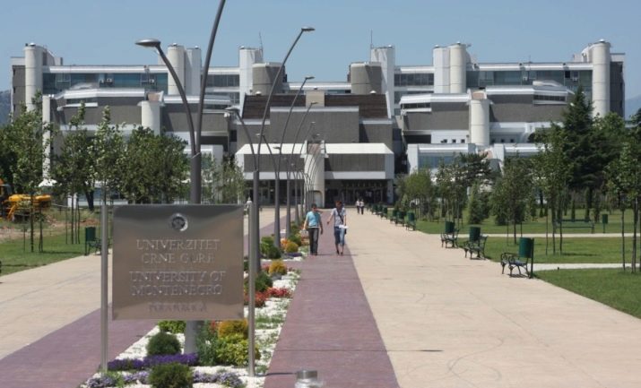 Пам’ятки в Подгориці: що можна подивитися самостійно в столиці Чорногорії? Пам’ятник Висоцькому, Пушкіну та інші цікаві місця