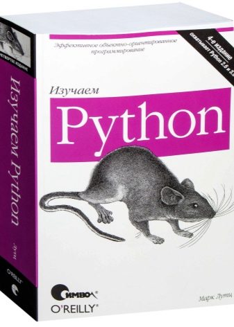 Робота Python-програмістом: в чому полягає професія? Яка зарплата? Як почати працювати віддалено без досвіду?