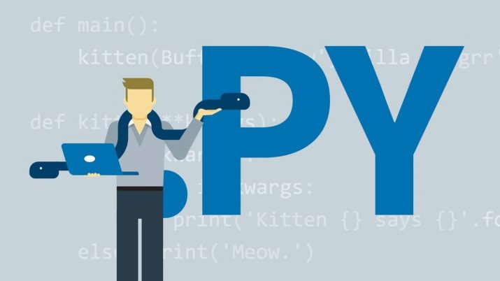 Робота Python-програмістом: в чому полягає професія? Яка зарплата? Як почати працювати віддалено без досвіду?