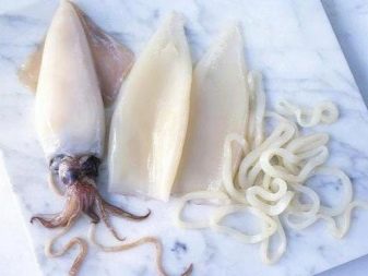 Сепія для равликів (10 фото): що це таке? Як часто дають равликам панцир каракатиці? Як він виглядає?