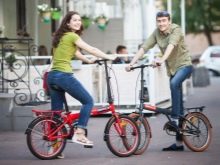 Складаний велосипед Shulz: Krabi Coaster і Multi, Hopper XL і Easy, інші моделі для дорослих і дітей