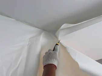 Стелі з малюнком в зал (39 фото): який візерунок на стелю вибрати для вітальні?