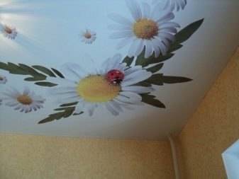 Стелі з малюнком в зал (39 фото): який візерунок на стелю вибрати для вітальні?