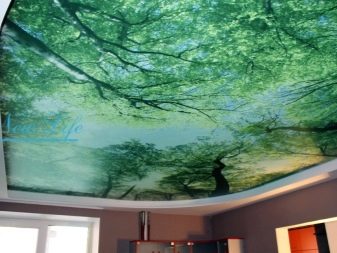 Стелі з малюнком в зал (39 фото): який візерунок на стелю вибрати для вітальні?