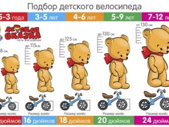 Велосипед для дівчинки 4 років: огляд дитячих легенів велосипедів з кошиком і без. Який краще вибрати?
