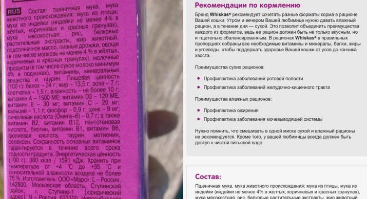 Як переводити кішку на інший корм? Можна міняти сухий корм кота? Як правильно перевести кота на корм іншої фірми?