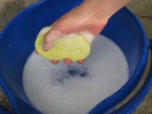 Як почистити хутряний комір в домашніх умовах? 19 фото Як випрати і чим можна прибрати жовтизну натурального хутра