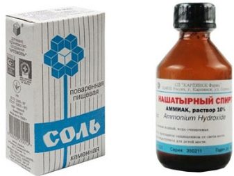Як почистити хутряний комір в домашніх умовах? 19 фото Як випрати і чим можна прибрати жовтизну натурального хутра