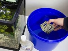 Як продезінфікувати акваріум? 14 фото Правила дезінфекції акваріумних рослин. Як дезінфікувати акваріум після загибелі рибок марганцівкою або перекисом водню?