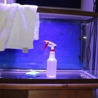 Як продезінфікувати акваріум? 14 фото Правила дезінфекції акваріумних рослин. Як дезінфікувати акваріум після загибелі рибок марганцівкою або перекисом водню?