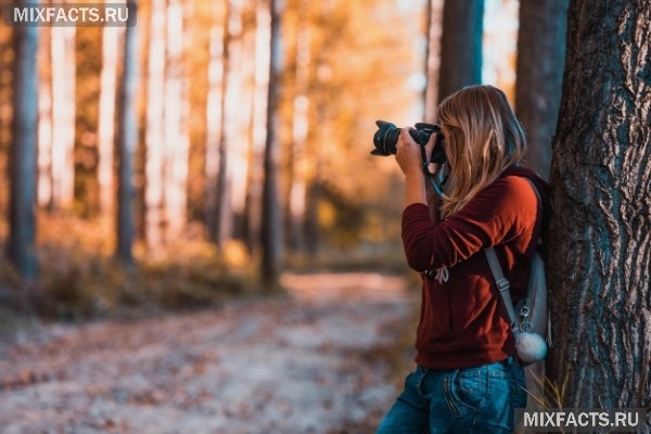 Як стати фотографом і відкрити свою фотостудію? Етапи навчання з нуля та пошук роботи