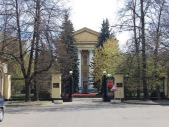 Як відрізнити діамант від фіанітів? 21 фото Чим вони відрізняються? За якими параметрами вони схожі? Що дорожче?
