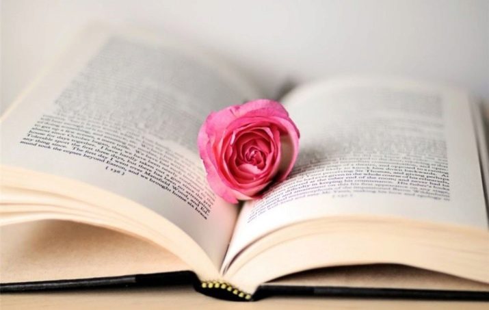 Яку книгу подарувати дівчині? Список хороших книг на подарунок