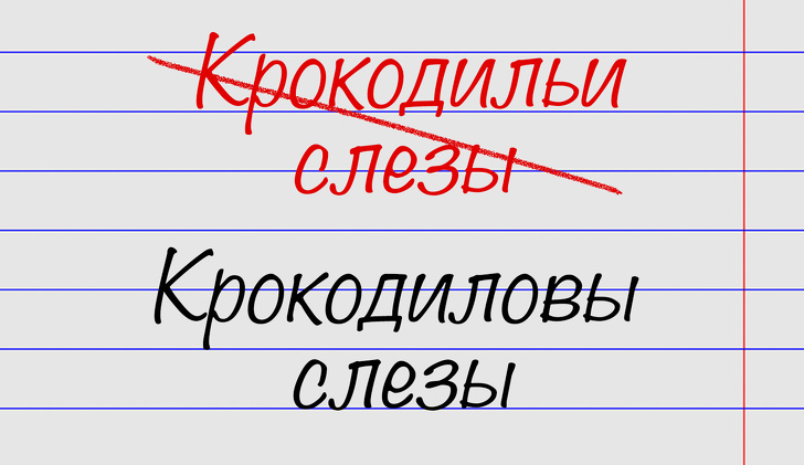 15 виразів, в яких помиляються навіть ті, хто був відмінником по російській мові
