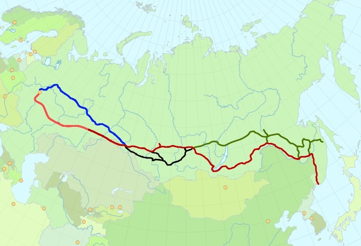 15 запитань зі «Своєї гри», які поставили в глухий кут найвідоміших ерудитів. А ви з ними напевно впораєтеся