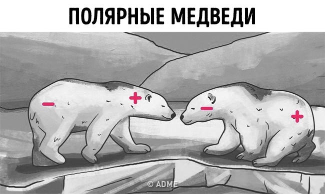 15 жартів зі світу науки