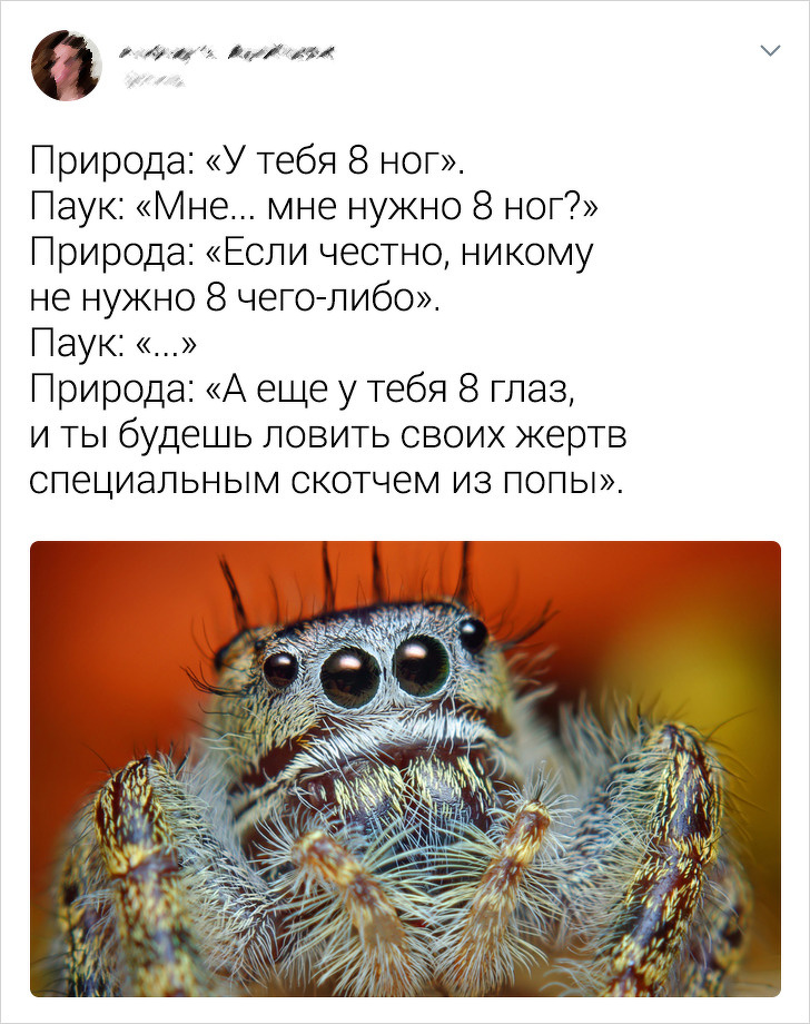 16 фантастичних створінь, при створенні яких природа злегка перемудрила