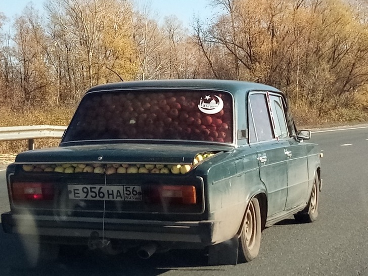 16 фото від користувачів, які вміють вихопити смартфон так само вправно, як ковбої — пістолет