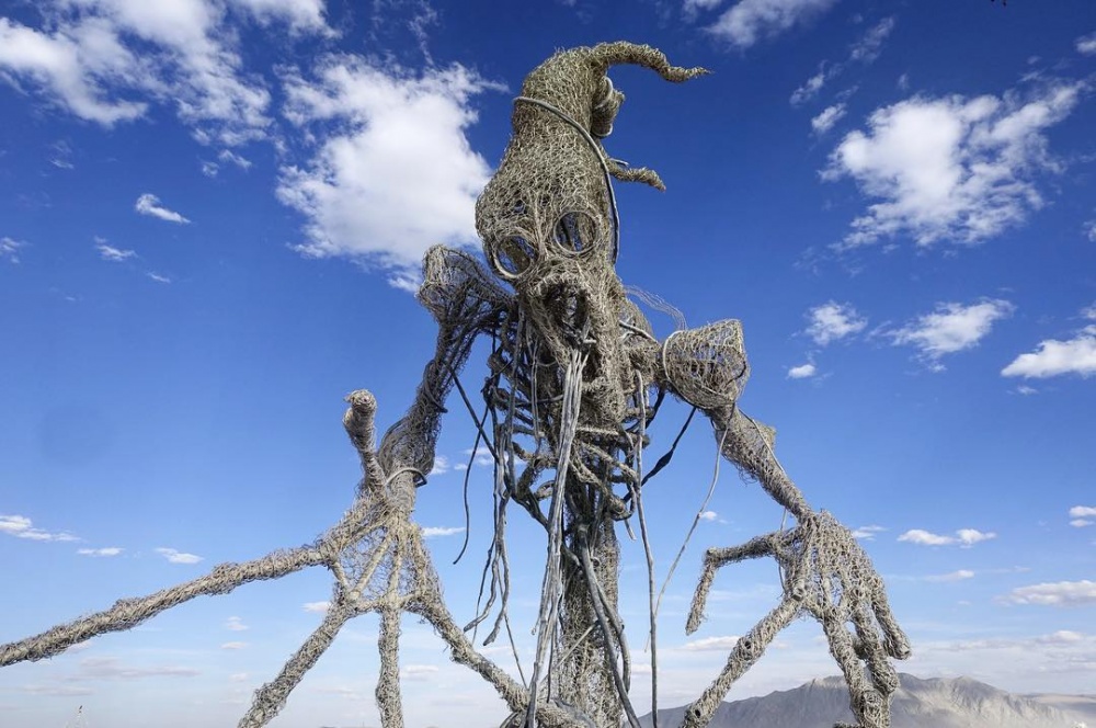 16 фотографій з божевільного свята мистецтва Burning Man 2016