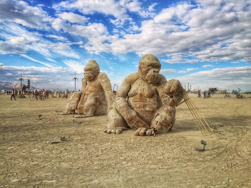 16 фотографій з божевільного свята мистецтва Burning Man 2016