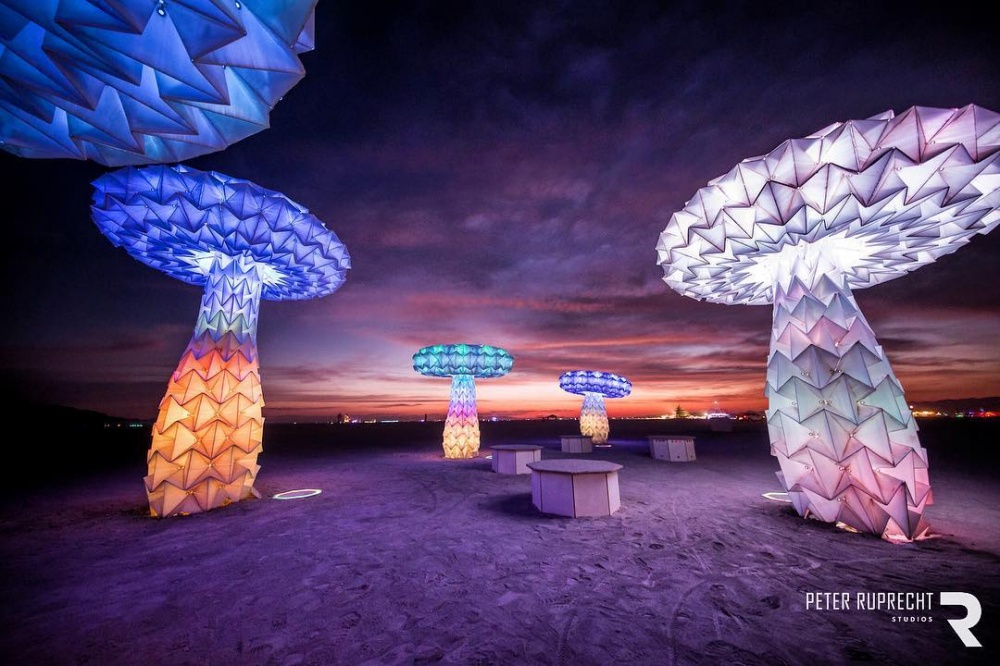 16 фотографій з божевільного свята мистецтва Burning Man 2016