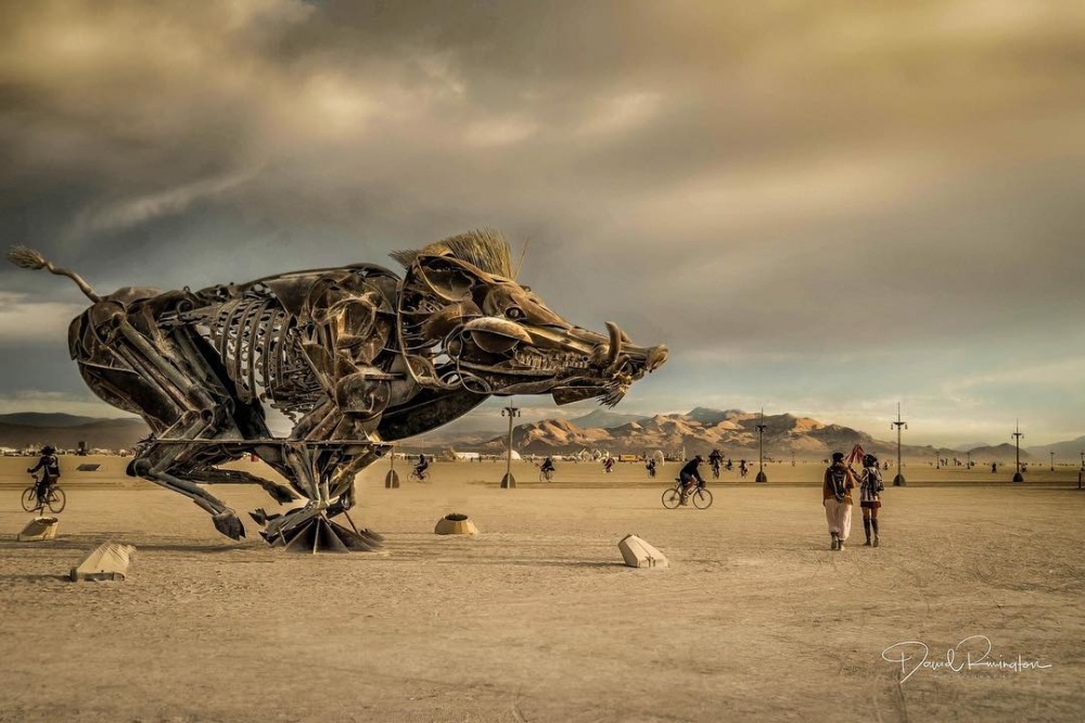 16 фотографій з божевільного свята мистецтва Burning Man 2016