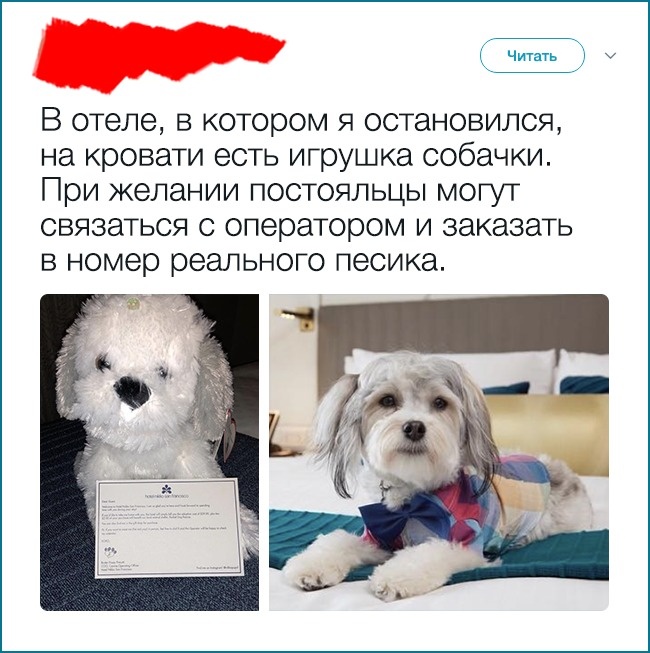 16 готелів, які підняли значення слова «сервіс» на новий рівень