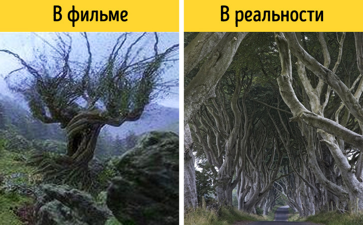 16 магічних місць планети, які стали джерелом натхнення для авторів фільмів про Гаррі Поттера