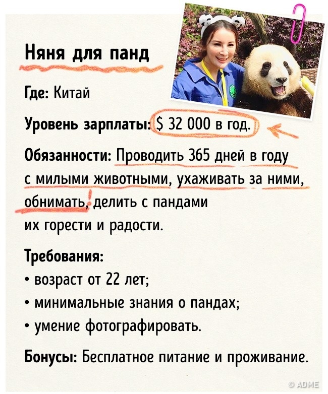 16 незвичайних і крутих робіт, про які мріє кожен з нас
